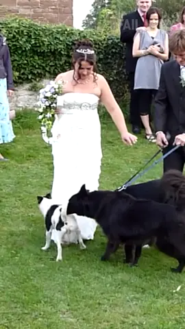 always look out for wedding crashers 🐕👰‍♀️ #FailArmy #PetAppreciationWeek #wedding #petfails #doggos