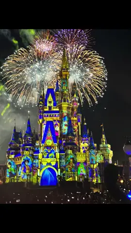 The best fireworks at Disneyland 💜❤️