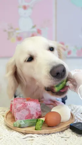 #ASMR #fyp #eatfood #goldenretriever #mukbang #puppy #cute #dog #狗狗 #狗狗吃播 #波尼啵啵 