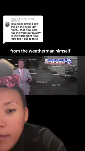 Replying to @Tiera Horton915  #greenscreenvideo me being a weatherman. #canadianfires #whyistheskylikethat? #nycsky #orangesky #wildfires 