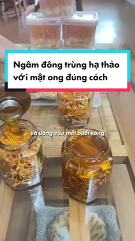 Hướng dẫn ngâm đông trùng hạ thảo tươi với mật ong#dongtrunghathao #dongtrung #sức_khỏe_là_vàng #suckhoe #dongrunghathaotuananh 