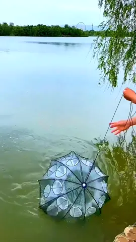 Foldable octagonal fishing umbrella net trap with folding mechanism fishing gear and tools #fishtok #fishinggear #fishingaccessories  #sport #fishingtime #fishingtiktoks  #fishinglife #solvingproblems #fishingtackle #fishing #solving  #fishingtips #fishingaccessories #tiktokmademebuyit 