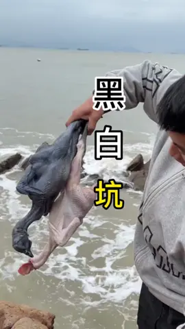 #tiktok #outdoor #tiktokbuyitnow