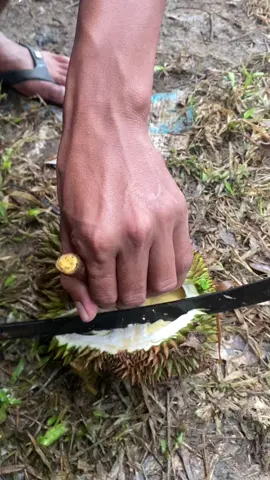 Membalas @zrel⁰² #fypシ゚viral #capcut #beranda #durian 