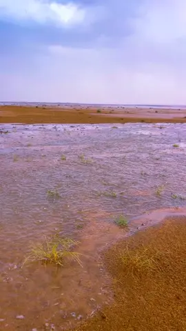 #زان عقب #الصيف حنان #الرعودي  وابتدى صوت#المطر نسمع جوابه                                                                    #الحوميات #عفيف #تصويري #اكسبلور   