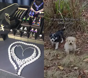 #duet with @thepupcupstore #cutedogs 