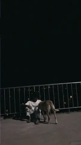 #CapCut ⚡️Trust_Is_Everything_for_All_people_And_Animal🥀#animallover @Dèmpøøł Quêêñ❤️ 