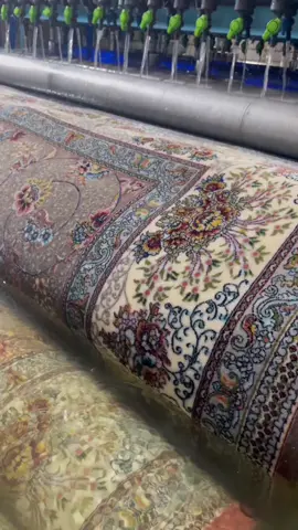 #farsh_shori_wlat #new #farshshor #fyp #fypシ #All 