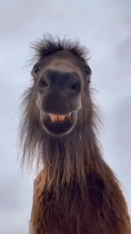 ending video #memestiktok #tyb #meme 