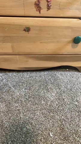 It’s perfectly fine #fypシ #fnaf #fivenightsatfreddy #lol #lmao #collection 