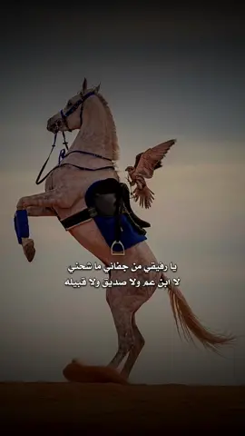 #قطر #كلام #شعر #عايض_بن_غيده #watchmymagic #السعودية #الامارات #الكويت #fyp #ابيات_وكلام #اكسبلور 