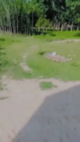 @sair. khan1.  💋💋💋💋💋💋🤔🤔🤔🤔🤔🤔🤔🤔🤔🤔🤔🤔 