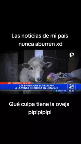 -¿y cómo son las noticias en tu país? -pues... #pokemon #fypシ #parati #peru