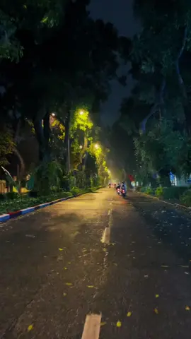 Bạn có nghe không, mưa đêm hà nội những ngày tháng 6.🥰#hanoi #mưa #tinhyeu #xuhuong 