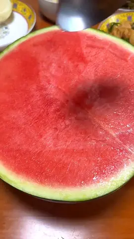 dưa hấu không hạt 🤤🍉 #duahau #quaduahau #vuonduahau🍉✨ #traicay #hoaqua #vuontraicay #viral #foryou #xuhuong 