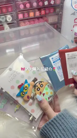 プチ購入品紹介⸜( ˶'ᵕ'˶)⸝♡ #生活音#購入品紹介 #開封動画#コスメ収納 #ヘアクリップ #音フェチ 