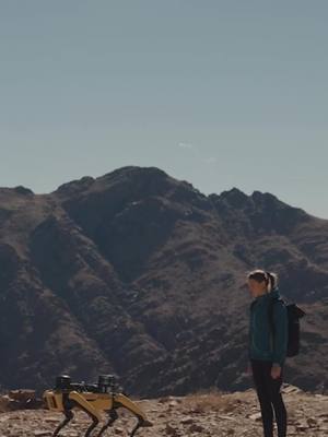 NEOM | The future of sustainable tourism