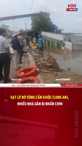 Sạt lở bờ sông Cần Giuộc (Long An), nhiều nhà dân bị nhấn chìm #voh #vohtintuc #thoisu #satlo #CanGiuoc #LongAn #tinnong #tinnongtrongngay #tinnong24h #thoisu24h #tintuc24h #news