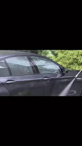 #foryou #car #gardenwashing 