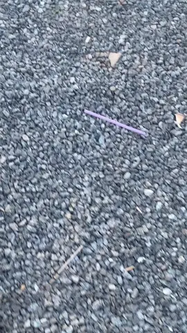 💫#trisaktifirefighter #fypシ゚viral #pemadamkebakaran 