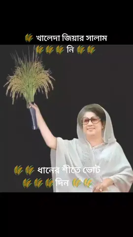 🌾🌾 ধানের শীষে ভোট দিন 🌾🌾🌾
