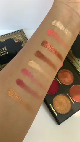 Swatching Eyeshadow from Ace Beautē (ugc sample video) #eyeshadowpalette #acebeaute #ugc #ugccontentcreator #ugccommunity #ugcjourney 