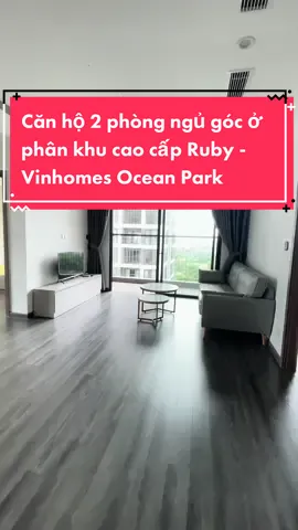 Căn hộ 2 phòng ngủ cao cấp Vinhomes Ocean Park #vinhomesoceanpark #baochungvinhomes #rieview #chungcuhanoi #chothuecanho 