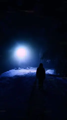 snowfall - Øneheart & reidenshi #fyp #calm #darkaesthetic #ambient #øneheart