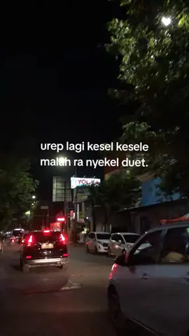 bingung tenan#fyp #banyuwangi #achilcil 