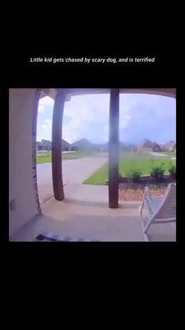 #fyp #lmao #lol #funny #dog #ringdoorbell #ring #chasedown #chasedog💨 #funnyclips #funnyvideos #loll 