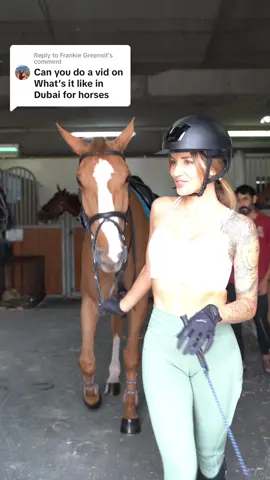 Replying to @Frankie Greensit   my horses were kept in the top stables in UAE. This is well above “standard” conditions, and the air quality is awful, most staff are heavily under trained 