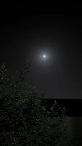 لك هاجس الذكرى 🥺🖤                                          #خالديات #لك_هاجس_الذكرى #tiktoklongs 