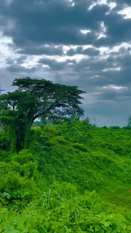 প্রকৃতি শুধু দেখার জায়গা নয়, এটি আমাদের বাড়ি🌿🏠#foryou #bdtiktokofficial #sky 