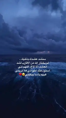 سنشد عضدك بأخيك ..  ‏لم يختار الله من الاقارب لشد العضد آلا الأخ، اللهُم اني استودعتك اخواني فلا تريني فيهم بأسآ يبكيني🥹♥️ #اكسبلور_explore #اخوي #اخواني 