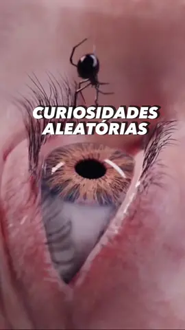 Sabiam dessas ?  #curiosidades #curiosidadesaleatorias #sabedoria #fatos #conhecimento 