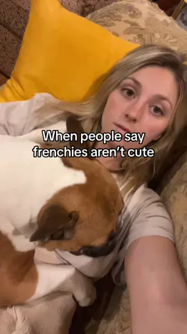 Henry is the most handsome boy on the planet #frenchie #frenchiesoftiktok #frenchbulldog #dogmom #dogsoftiktok 
