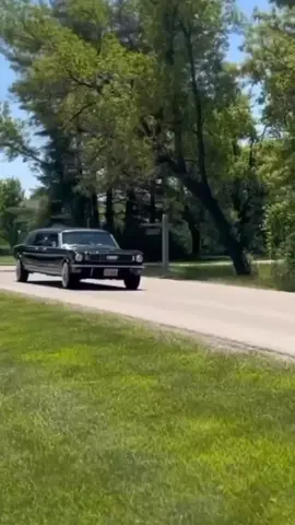 What do You think about this masterpiece? 🇺🇲 📽️Credit  by @mustang_restorations (Instagram) Via @mustangsfamily (Instagram) This video is used only for journalistic purpose and all credits and rights are reserved and belong to their respective owners 📷 For American Vehicles Follow  👉@americanvehicles33 🇺🇲 #Classic #classics #Classiccar #classiccars #americanmuscle #Musclecar #Musclecars #car #mustang #ford #Shelby #Fastback #americanvehicles33 #americangarage33 #mustang #ford #fordmustang #limo #streched #strech #streching