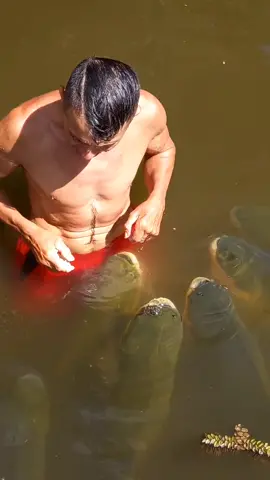 #valdemir  encantador de peixes gigante de estimação Valdemir Alves 