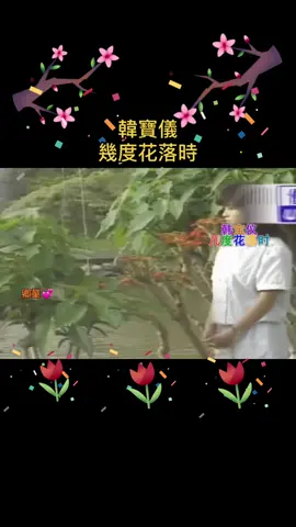 #韓寶儀 幾度花落時 #好歌分享 #tiktoksg 