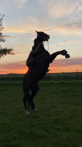 Beschreib dein aktuelles Leben in 3 Emojis🫶🏼