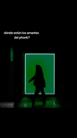 soy una de esas personas amantes del phonk 💯#phonk #metamorphosis #seofproblems #rapture #sahara #worthnothing #midnight #neonblade #whynot #rosa_1268_ 