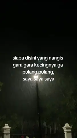 #fyp #beranda #foryou #storyquotes #kucing #kucingkuhilang #sadvibes #sad 