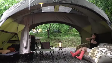 Bushcraft 271 #bushcraft  #camp  #camping  #survival  #shelter  #wildlife  #Outdoors  #outdoor  #viral  #fyp  #foryou