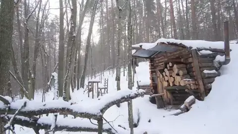 Bushcraft 270 #bushcraft  #camp  #camping  #survival  #shelter  #wildlife  #Outdoors  #outdoor  #viral  #fyp  #foryou