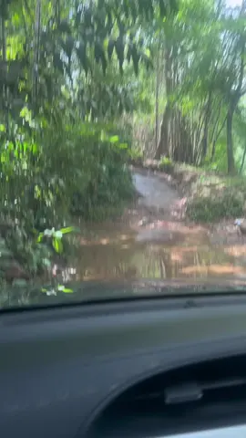 ขับรถเที่ยวสวน ส้มโอ สวนทุเรียน #ธรรมชาติบําบัด #ผู้ชายหุ่นหมี #ถ่ายไปเรื่อย #บ่าวลําพูน #การเดินทาง #พักผ่อน #บรรยากาศชิวๆ #พลังธรรมชาติ #ธรรมชาติฮีลใจ #หมีถ่ายรูป 