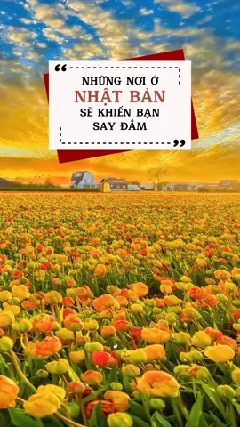 Nhắc tới Nhật Bản thì bạn nghĩ ngay tới điều gì? Ngoài phim hay thì tour du lịch Nhật Bản bên mình cũng rất xuất sắc nhé. #dulich #nhatban #japan #luhanhvietnam #travel #dulichnhatban #dulichtutuc