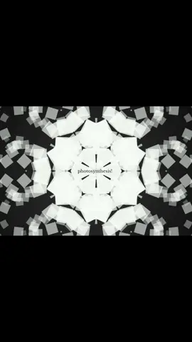 STEPPY #yukiakino #edit #hydrogen #oxygen #water #chlorophyll #steppy 