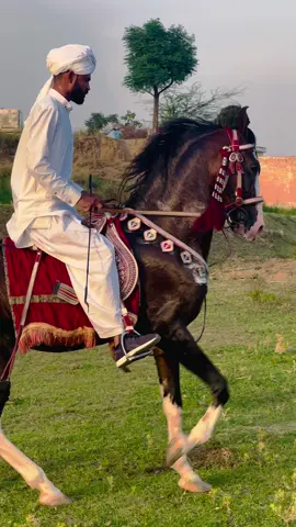 Gorah sultan 🥰❣️