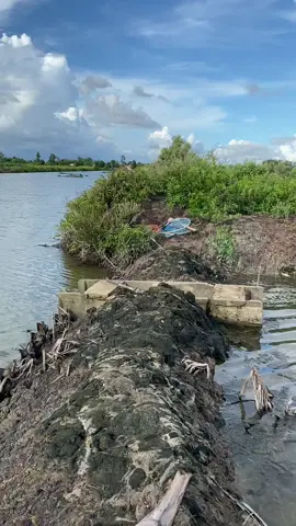 Nắng chiều rụng trên mái tranh, nhớ... #mientayquetoi #sôngnướcmiềntây #camau #xh