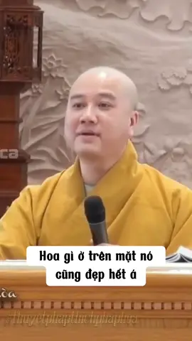 Khó khăn đừng nản lòng bạn nhé. Chỉ cần cố gắng vượt qua, rồi sẽ có 1 ngày nở rộ như hoa 😊 #thaythichphaphoa #thichphaphoa #vandapphatphap #phatphapnhiemmau 